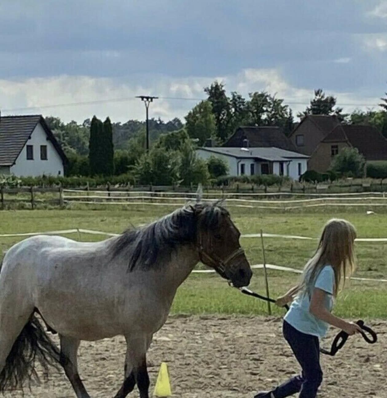 Mädchen führt ein graues Pony am Strick über den Reitplatz