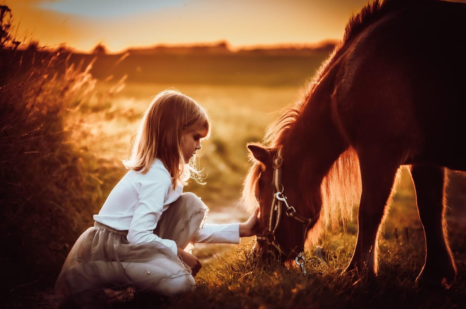 Mädchen hockt bei Sonnenuntergang vor einem grasenden Pony