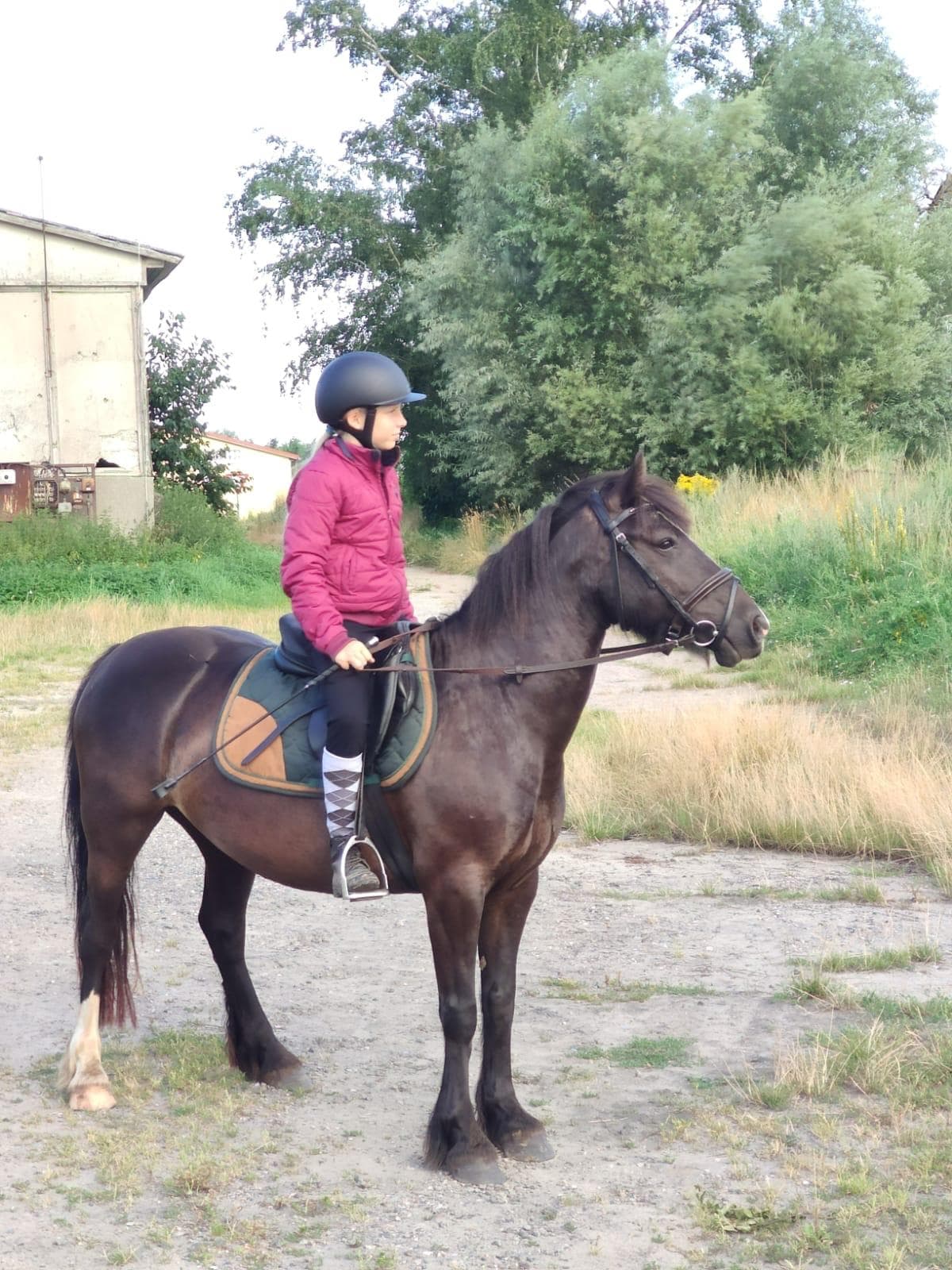 Kind mit Reithelm sitzt auf einem dunklen Pony vor einem Stallgebäude