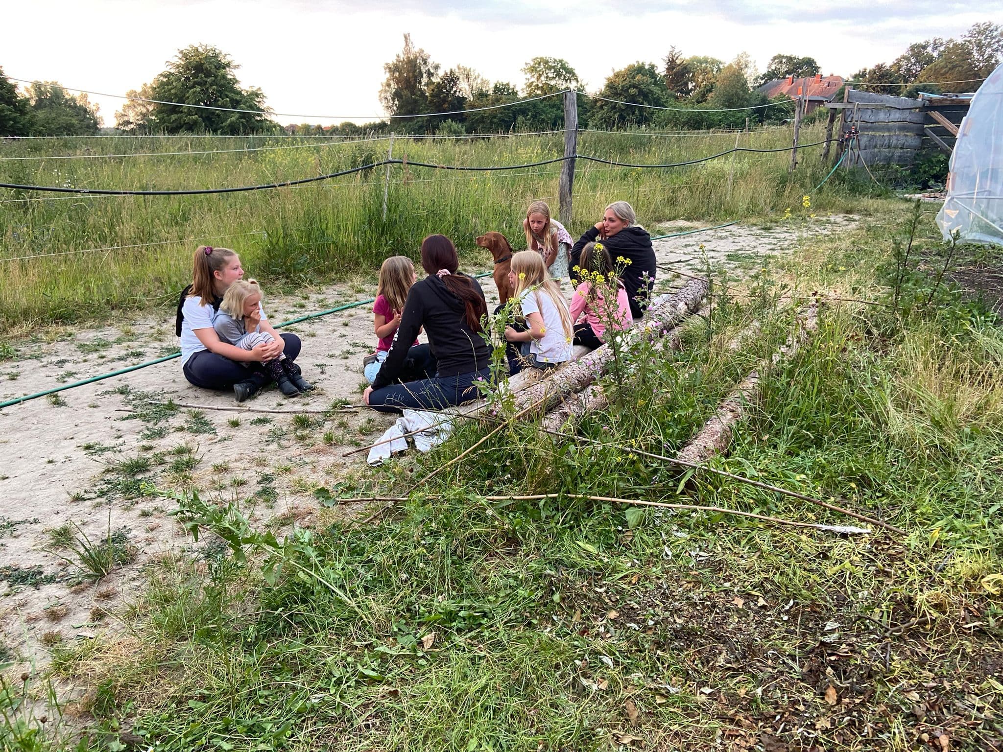 Kinder machen eine Pause auf einer Wiese am Waldrand